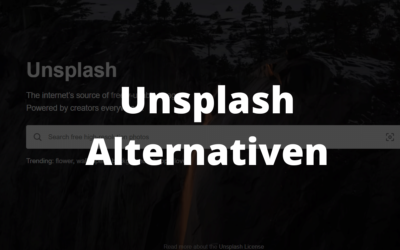 Les 4 meilleures alternatives à Unsplash en comparaison