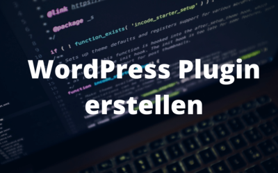 WordPress Plugin erstellen