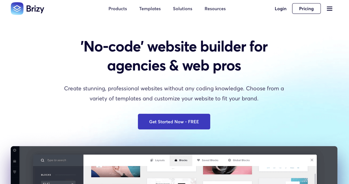 brizy website builder