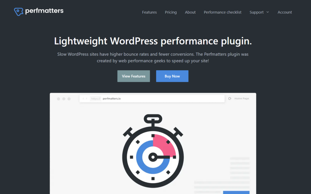 Perfmatters review: Speed Up Your WordPress Site
